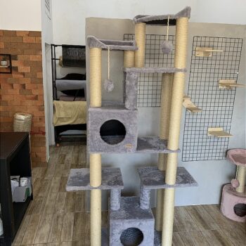 Arranhador Gigante para Gatos Maine Coon – 225cm de Altura | Qualidade Super Premium