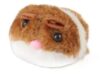 Fofinho de Catnip com vibra