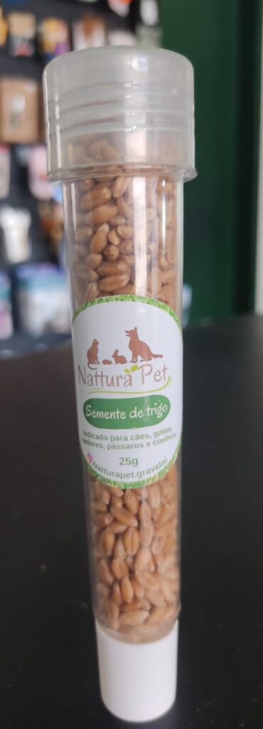Refil Semente Graminha Pet Trigo 25g